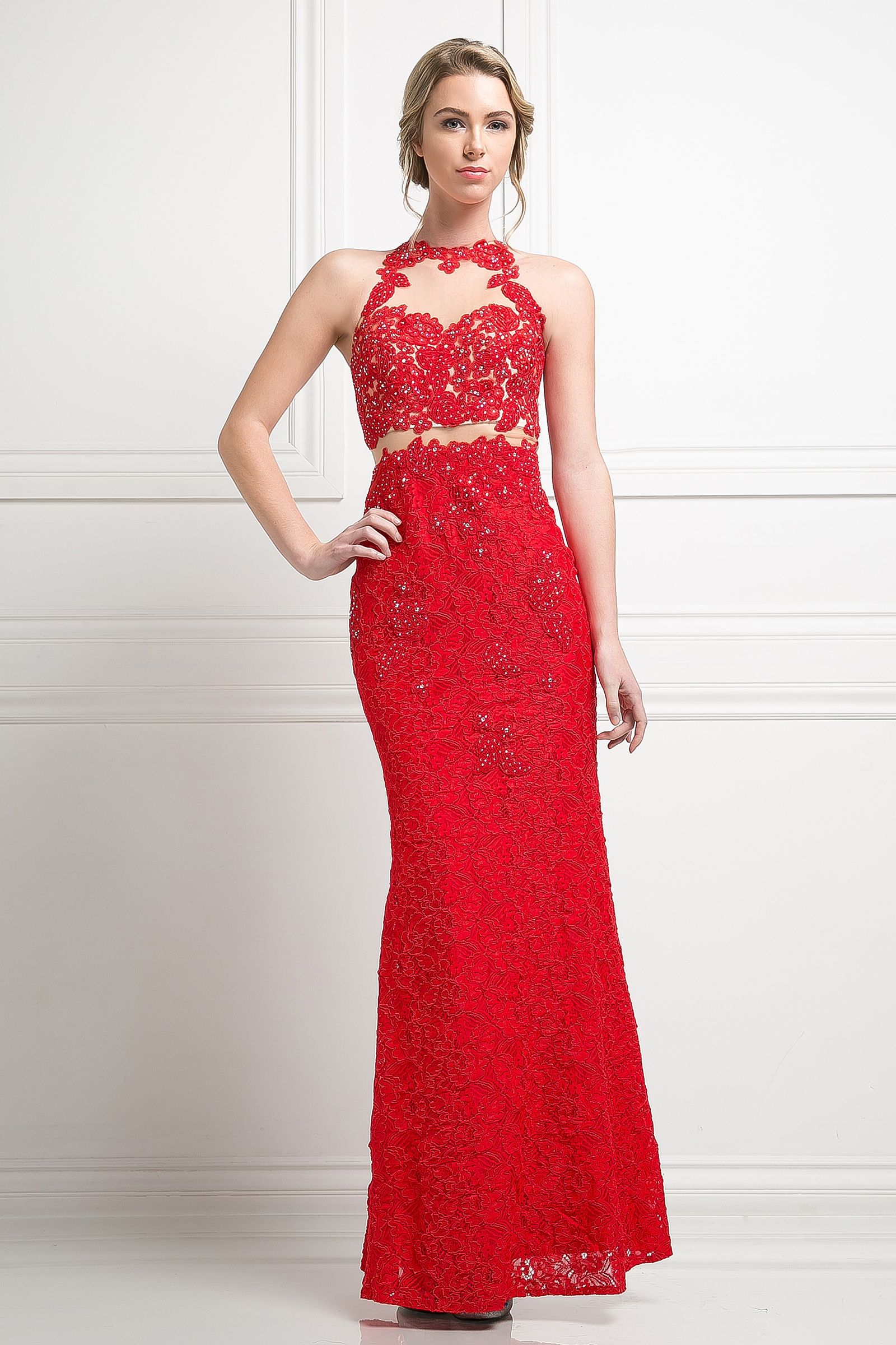 Cinderella Divine - Illusion Lace Appliqued Sheath Gown