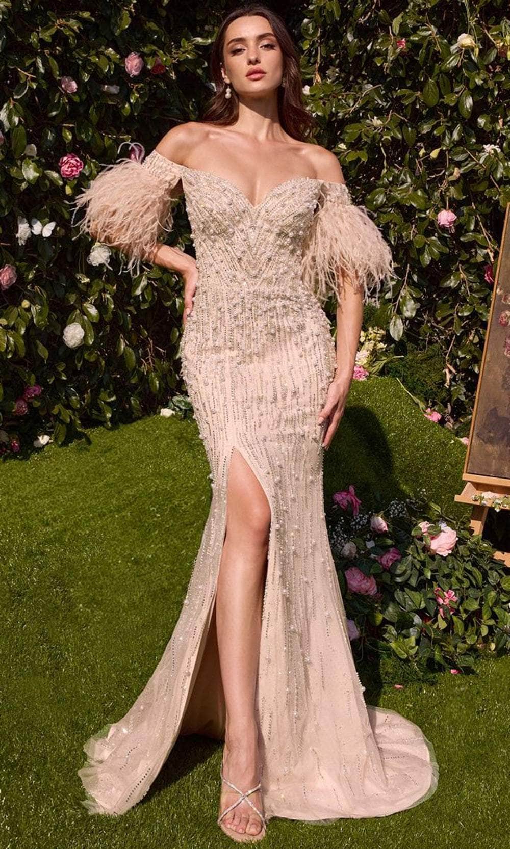 Andrea and Leo MA102 - Feathered Off Shoulder Evening Gown