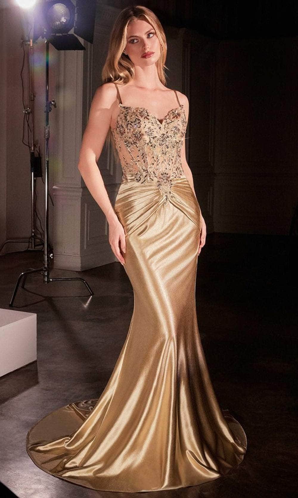 Cinderella Divine CD776 - Illusion V-Neck Long Gown